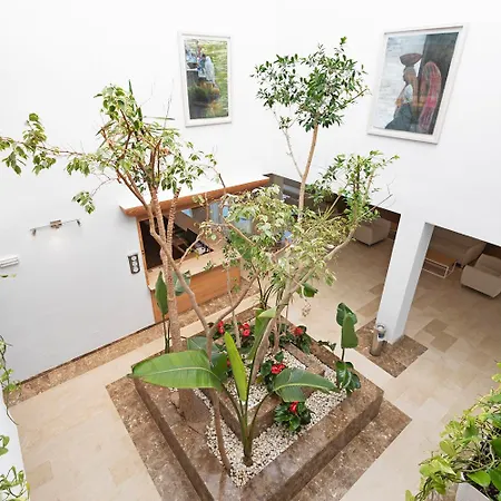 فندق Thb Guya Playa 4*