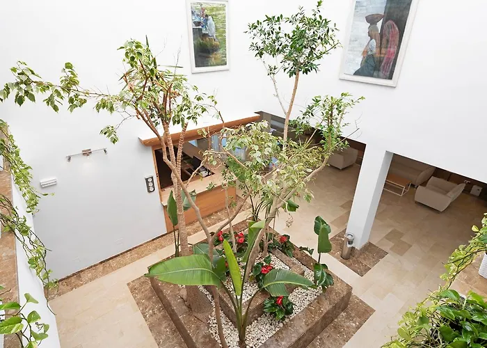 Hotel Thb Guya Playa 4*